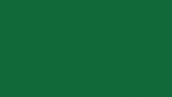 Kerrock 633 Shamrock