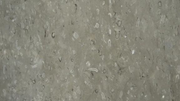  Lipiza Fiorito Dark