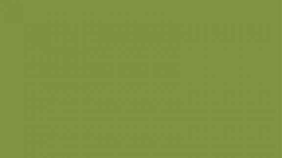 Hanex M-015 Matcha